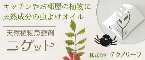 株式会社 テクノリーフ
