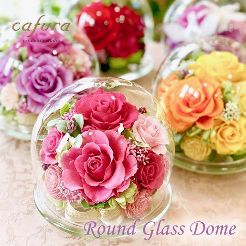 プリザーブドフラワー Afn ポータルサイト 各種新聞 雑誌等の広告と連動した総合情報サイト