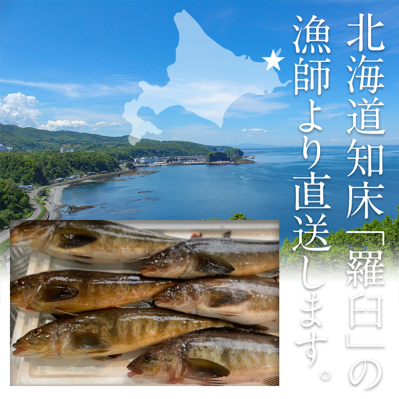 門丸 様 専用 制作依頼品(P) - mirulybok.com