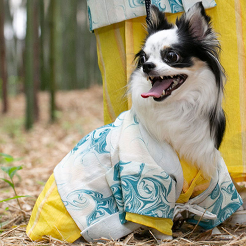 犬猫専門の呉服店 和bien