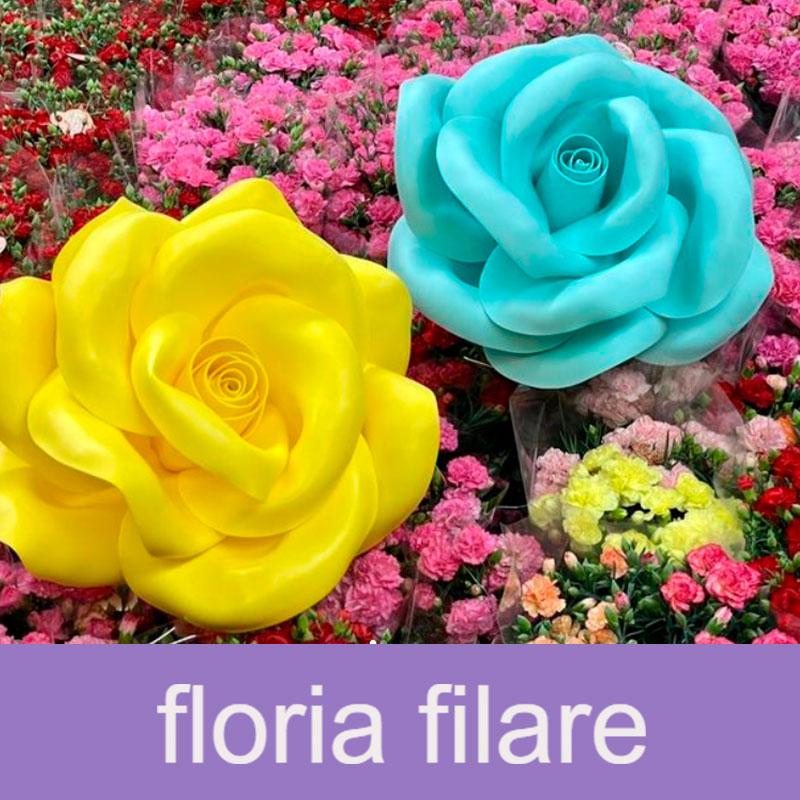 floria filare