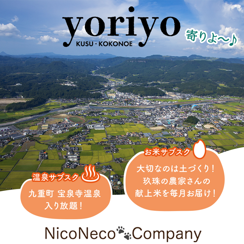 NicoNeco Company
