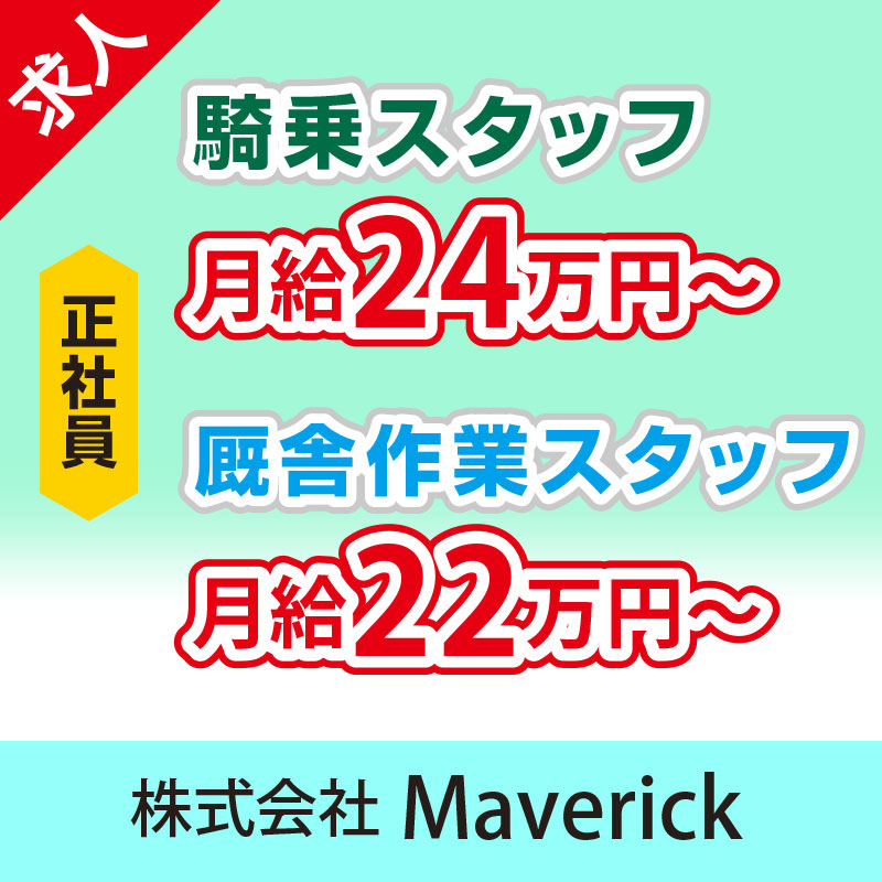 株式会社 Maverick