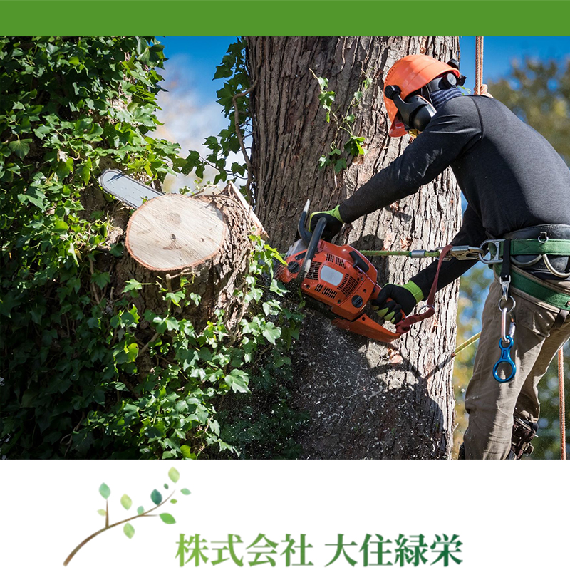 株式会社 大住緑栄